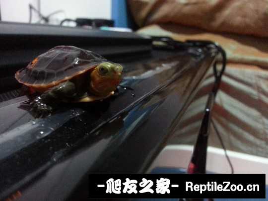 230646t4e7ah52wze95ew5.jpg