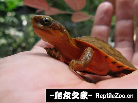 230702thcl0pe99jzhh4jc.jpg