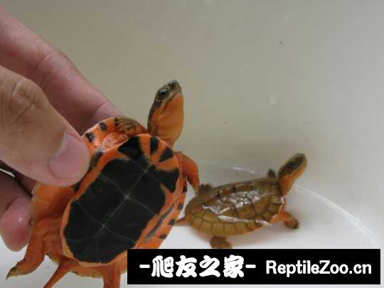 230704drm756mmm3w8683m.jpg