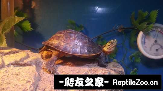 230731q777070c70ub6ku7.jpg