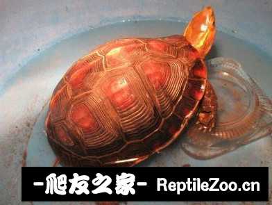 230801f38p3mx6xmxz0yyp.jpg
