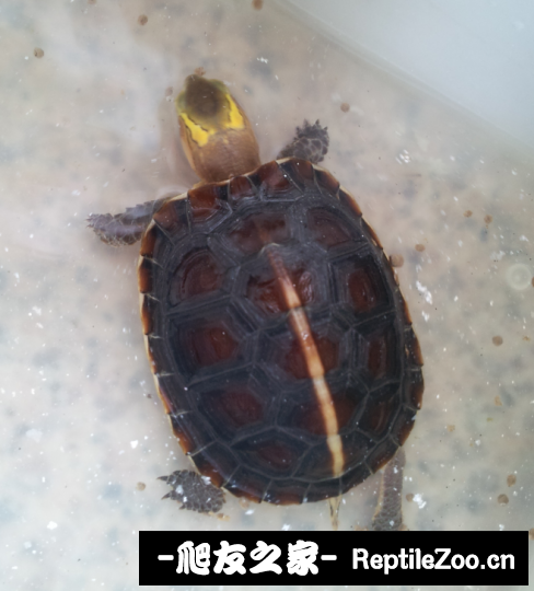 230808m25vzpr7349z9g3f.png
