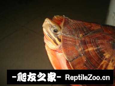 230852y9pnq9mmm3q6a3sq.jpg