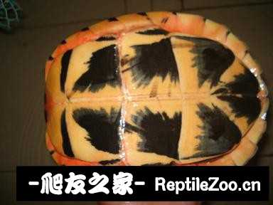 230853hb44zoo7j6gti499.jpg