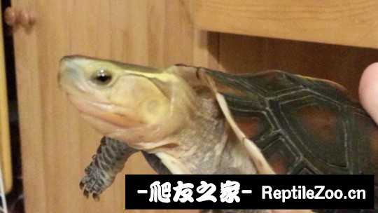 230907kiptzbudfy3jc83j.jpg