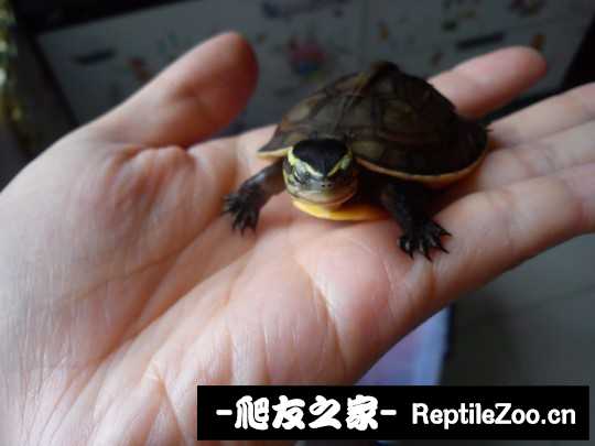 230938wp0bbbbjv0bpye0i.jpg