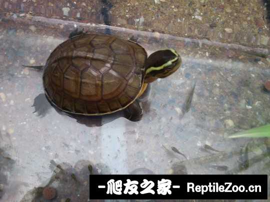 230939kewp8xqa9zbgoeqr.jpg