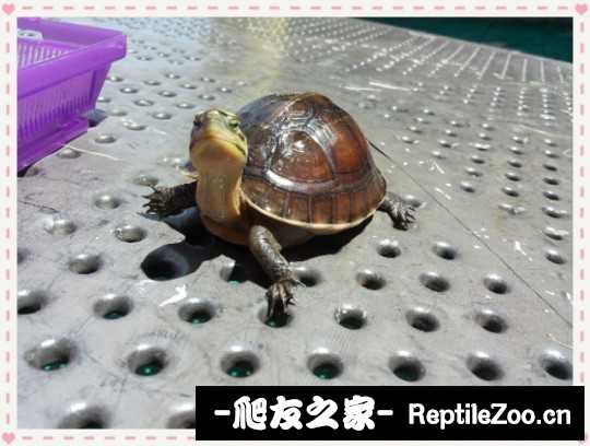230940ervn5vpk4kkqmrp0.jpg