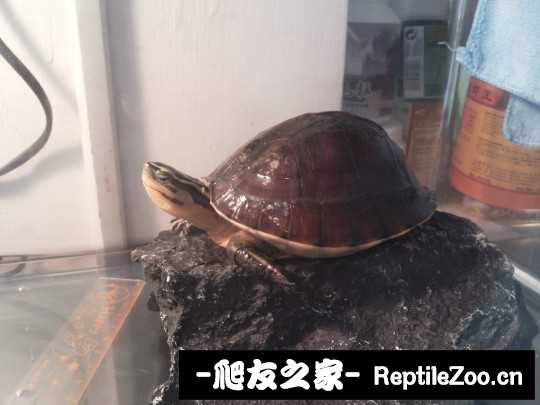 230941wmxu55mzqm8zu6px.jpg