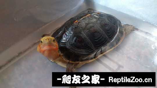 230959hqyhzy0eeh94h000.jpg