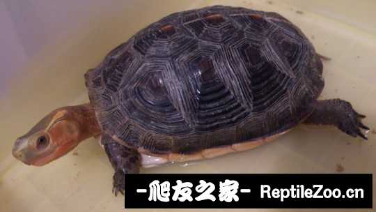 230959rwq51ygh4f4hy15z.jpg