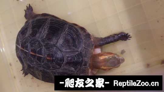 231004tgf3jvdt366j8fl7.jpg