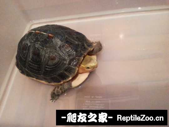 231215fm2d9569xo5djyyy.jpg