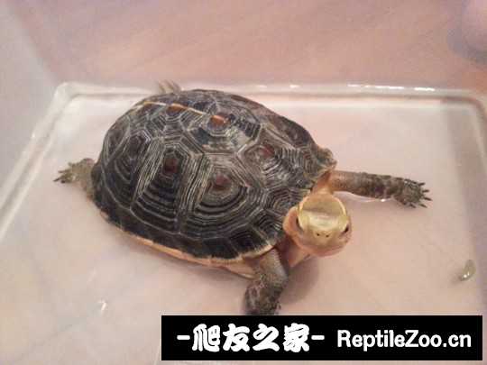 231216nn5w9ic8nc8nrdcq.jpg