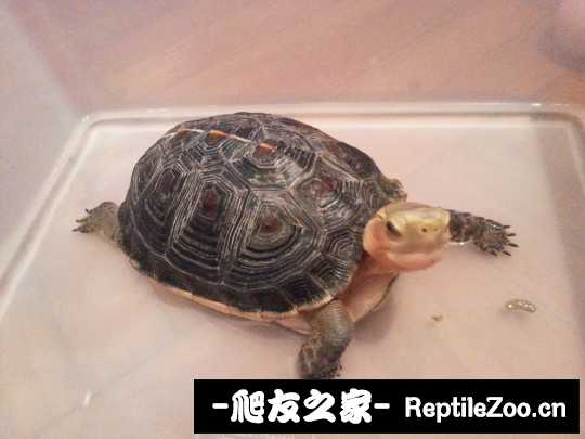 231216ufbvdcoos5fsdgfr.jpg