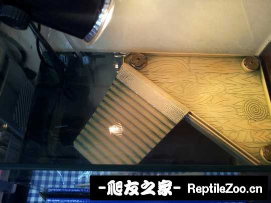 231259ny66q6c9pfl6lchv.jpg