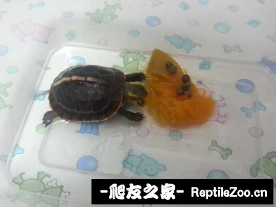 231334f9jwv9utu9w3ugsg.jpg
