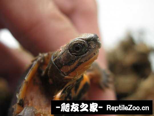 231338m9m09ok582mt29zn.jpg