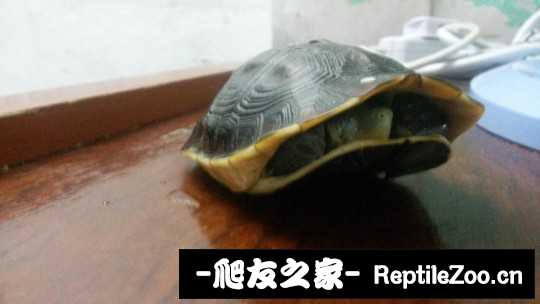 231415lll1xxty6gy98g1g.jpg