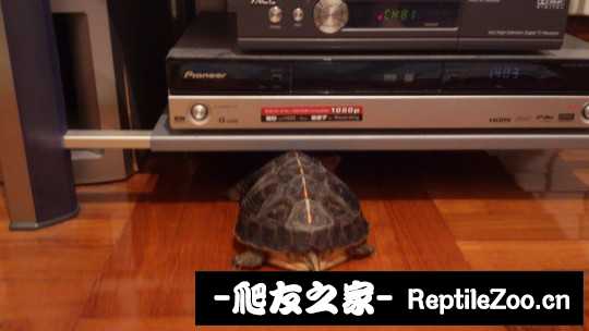 231613vbnwb8z3rgveogle.jpg