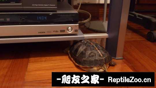 231613y1jyspsjsw1jwa1y.jpg