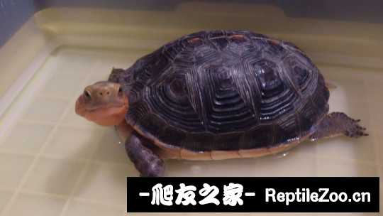 231631ggfme55f9zzfefx8.jpg