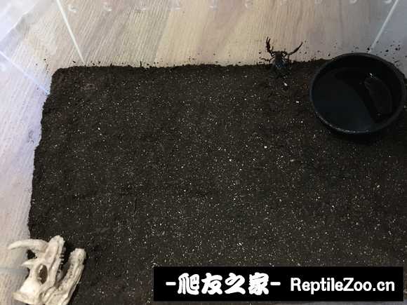 display_picture.php?url=http%3A%2F%2Fimgsa.baidu.com%2Fforum%2Fw%253D580%2Fsign%3D18bca8e4c5177f3e1034fc0540ce3bb9%2F89563dadcbef76098242a3cd22dda3cc7dd99ebd.jpg