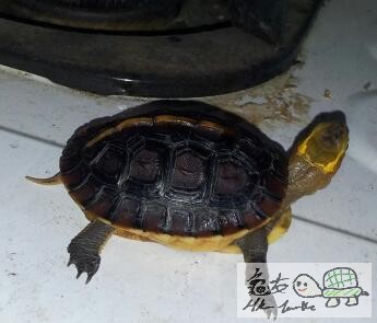232059liwhsgy4iv7svy7v.jpg