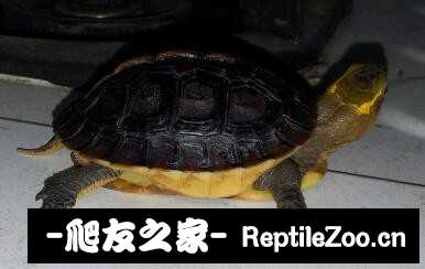 232100ao8zuddsoeio1ooo.jpg