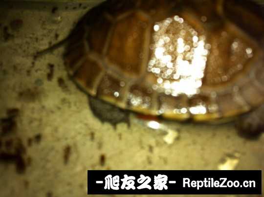 232236egf3u3l1h6ofggl1.jpg