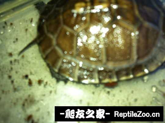 232238pddo4dj5qiyo5nky.jpg