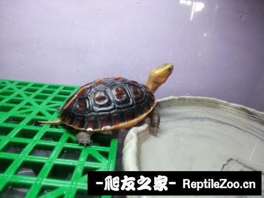 232353uqmdny1a8nlu4l94.jpg