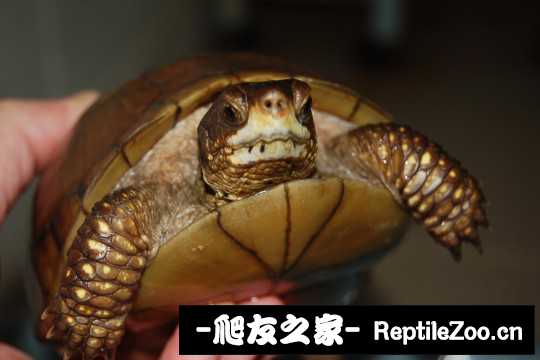 232404fwgk6s6j0gxy5jyb.jpg