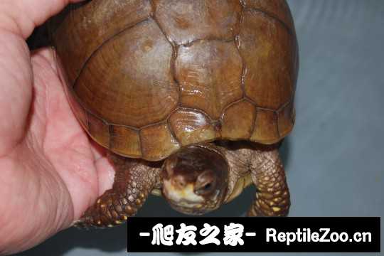 232404he9h00zhq190vhco.jpg