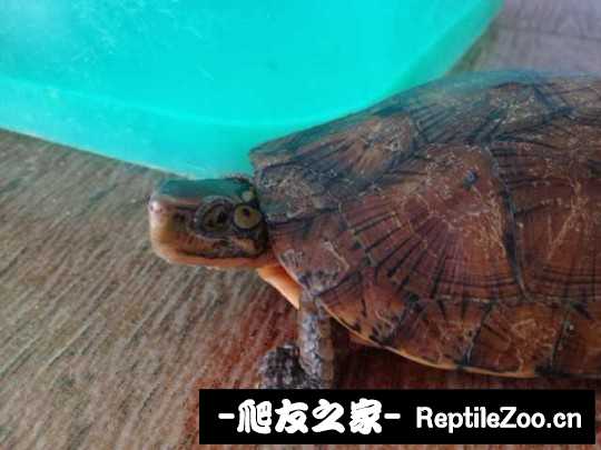 232422ieaaazpss48r6ade.jpg