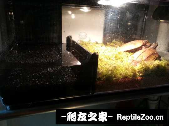 232437hk05dwmr3drmqx60.jpg