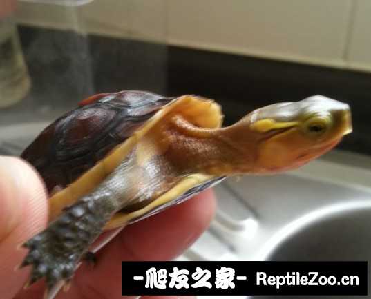 233512dbzf9nz799kdwdnk.jpg
