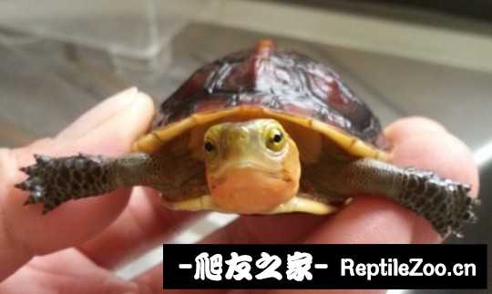 233512rowqwhwz4v8aqycq.jpg