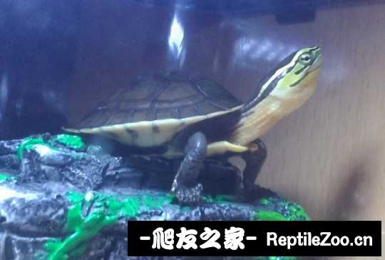 234237kk5lzlzl62u9u5tm.jpg