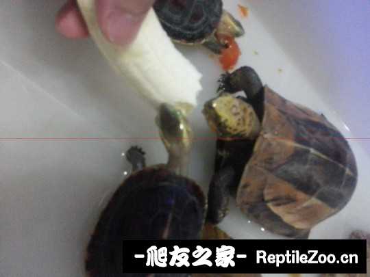 234304uvubsqv518cf5y1f.jpg