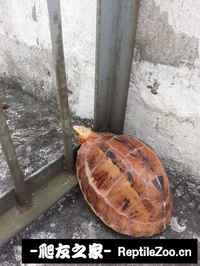 234327kpxkrmrwfmzxfcmj.jpg