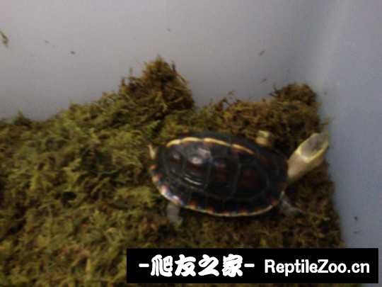 234346httptwxb2rb78bvx.jpg