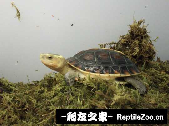 234349xadd2vxxvq5qa5py.jpg