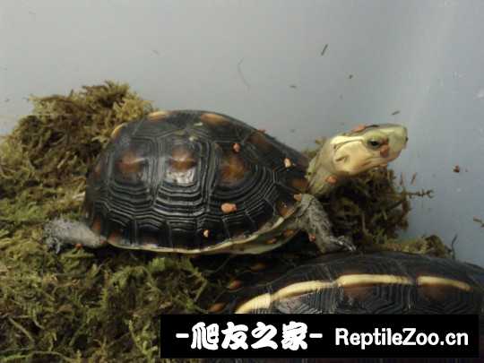 234351szndkl7l2xn7d9zd.jpg