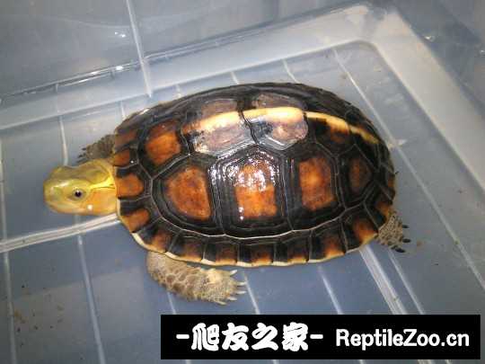 234449grwgejpxrxqizwxw.jpg
