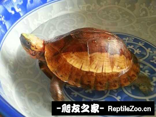 234958aqn5njd0ry5q4mrg.jpg
