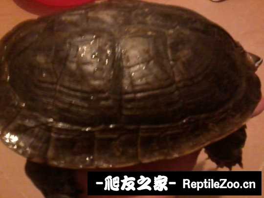 235008v2ggd5lg25zdj25l.jpg
