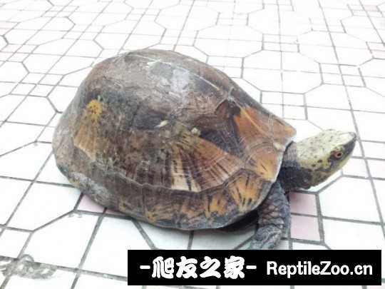 235058wl5lzc34o4b4axuj.jpg
