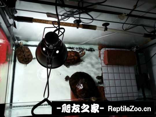 235121jhefqzv6me7uq11r.jpg