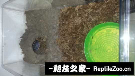 235126worrqpppzxr5xxsn.jpg